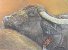 recente fotos 014.jpg